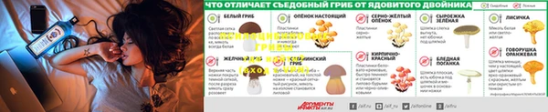 прущая мука Армянск