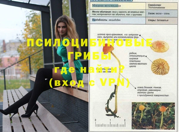 каннабис Аркадак