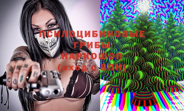 прущая мука Армянск