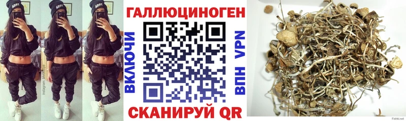 kraken ссылки  Приволжск  Галлюциногенные грибы Psilocybe  наркотики 